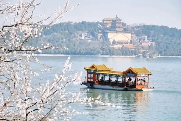 场景经济催生新赛道，“得场景者得天下”