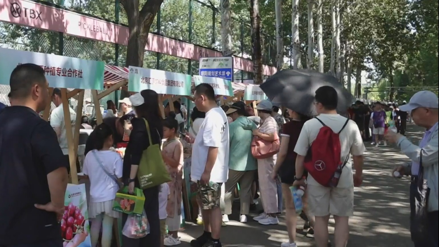 “京果飘香·2026全民采摘季”启动 持续至10月底