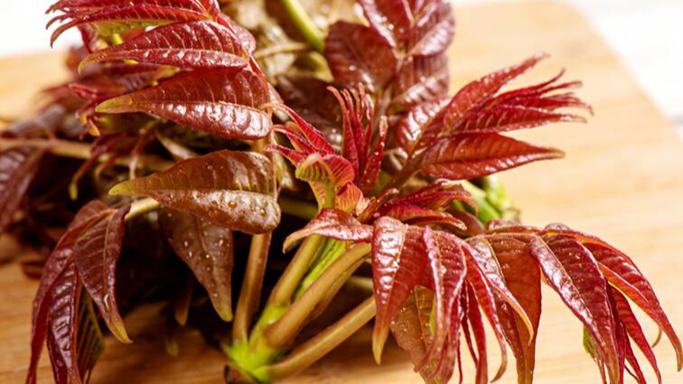 该掰香椿芽吃了！怎么选、怎么吃一文讲清