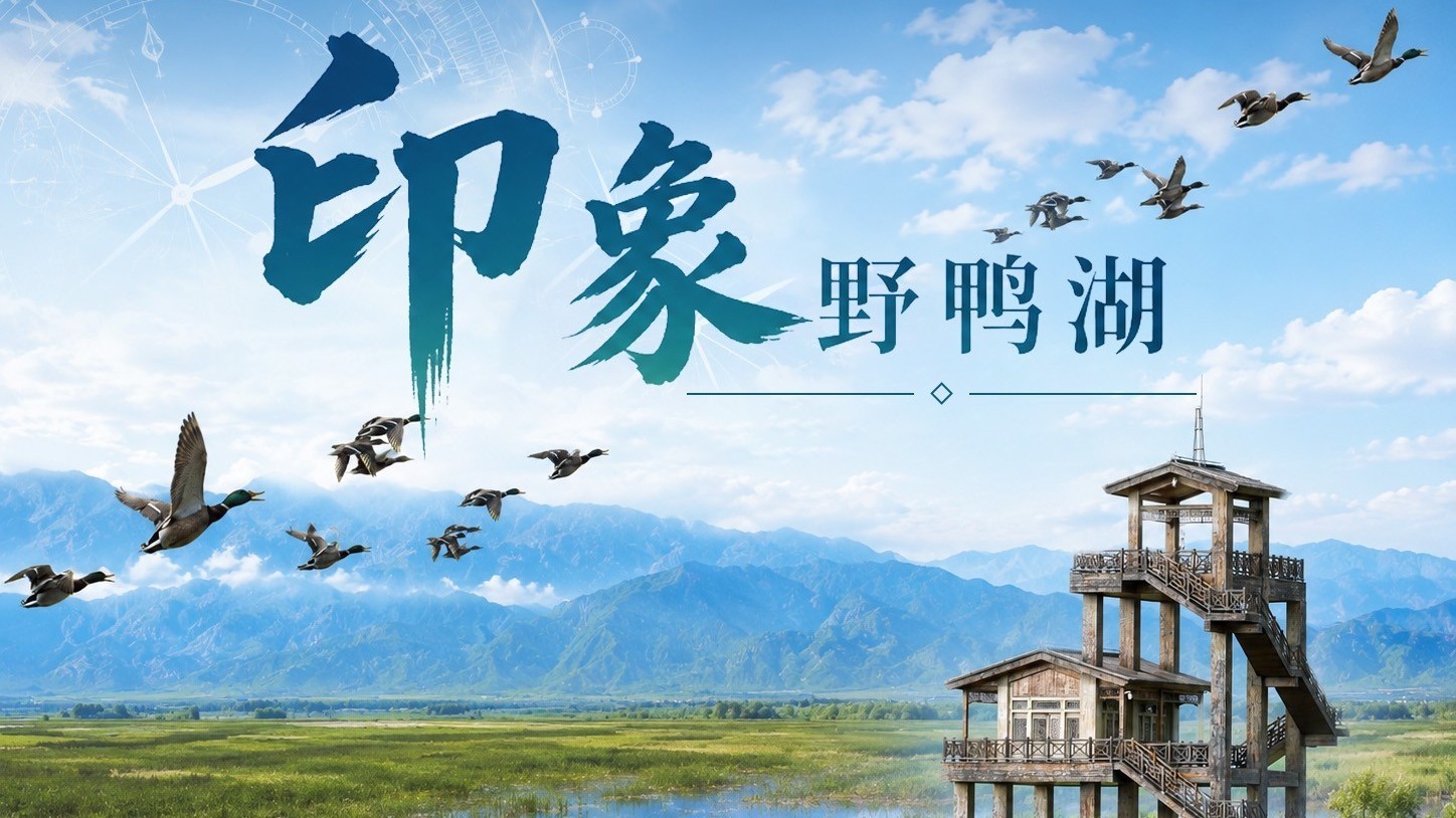 印象野鸭湖 一方湿地 万物共生