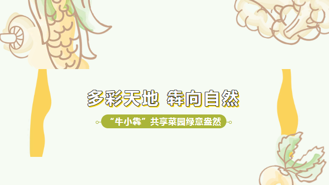 一起种地吧！太阳宫“牛小犇”共享菜园的“成长日记”