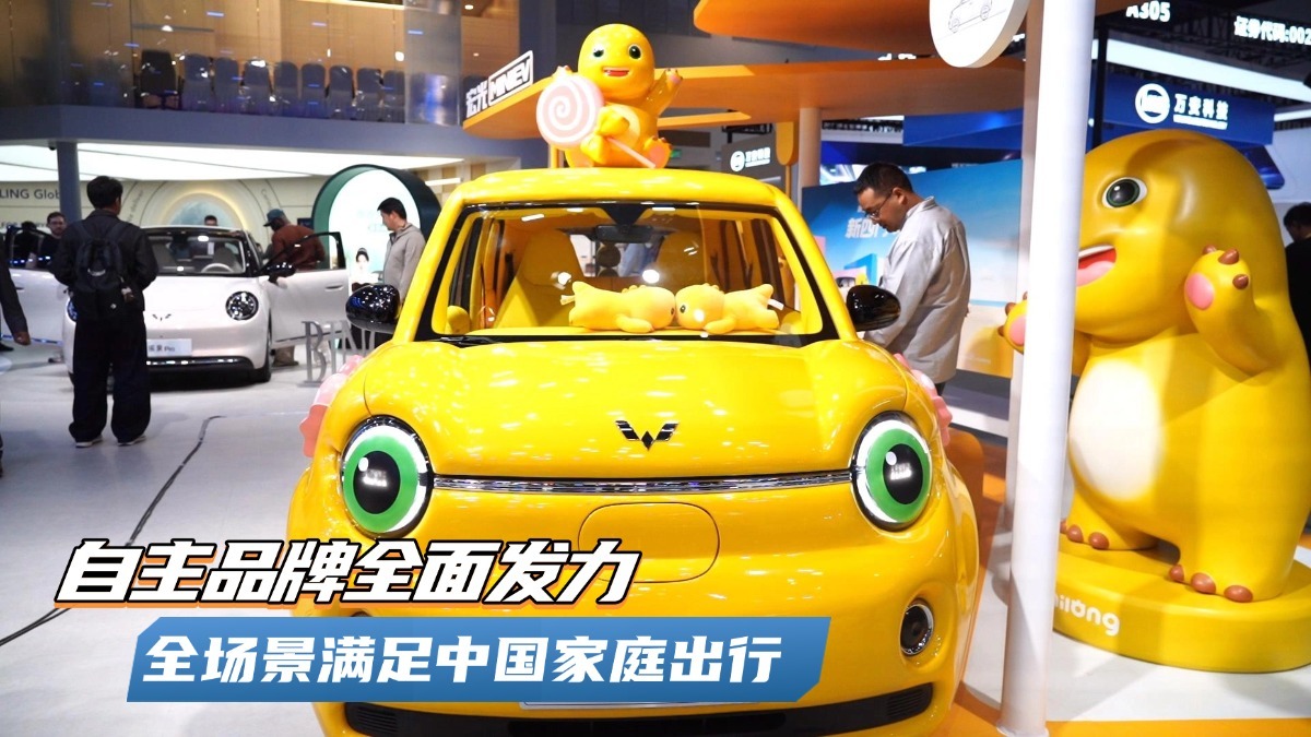 自主品牌全面发力:从小而精到大而智 全场景满足中国家庭出行 自主品牌全面发力:从小而精到大而智 全场景满足中国家庭出行
