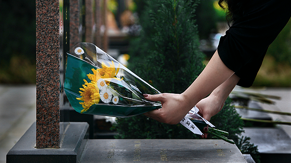 清明上山扫墓发现母亲的墓不见了，一查竟被陌生人侵占