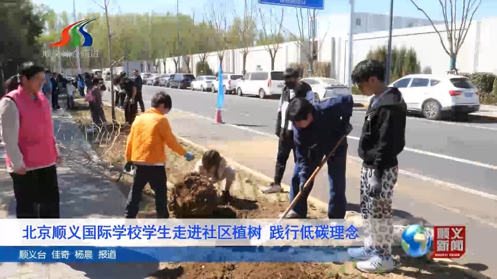 北京顺义国际学校学生走进社区植树 践行低碳理念