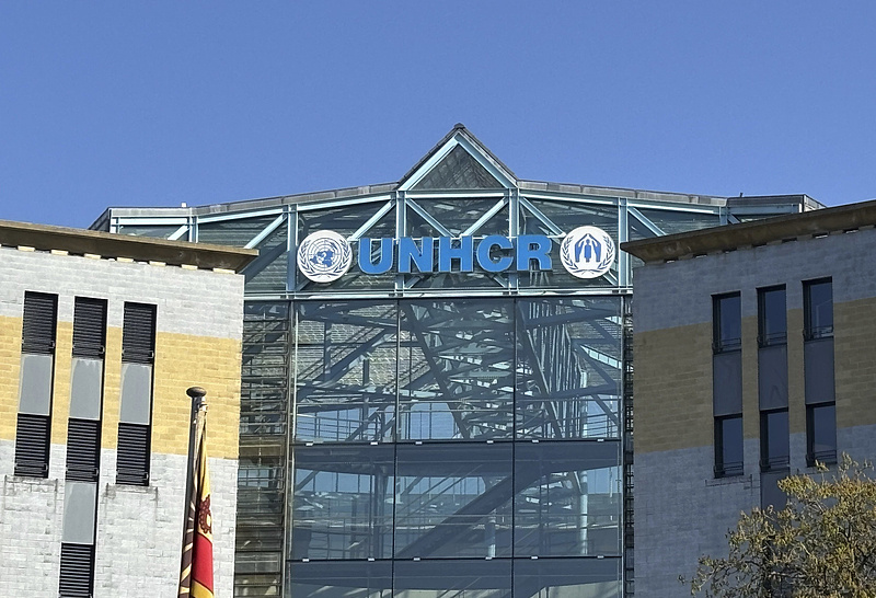 联合国难民署：莫桑比克洪灾造成近40万人流离失所