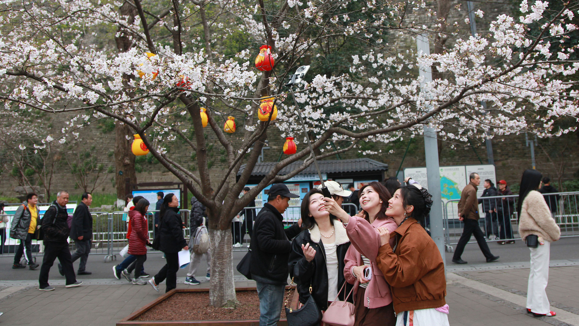 晶采观察丨春日经济,何以“活力”全开? 晶采观察丨春日经济,何以“活力”全开?