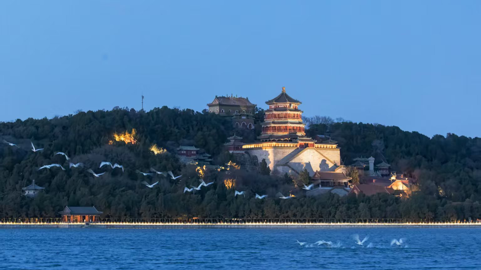 北归信使到!颐和园昆明湖变身天鹅驿站 北归信使到!颐和园昆明湖变身天鹅驿站