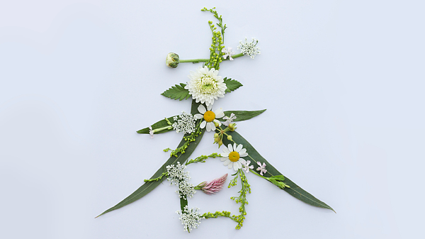 暖和了!北方未来10天要升温了 暖和了!北方未来10天要升温了