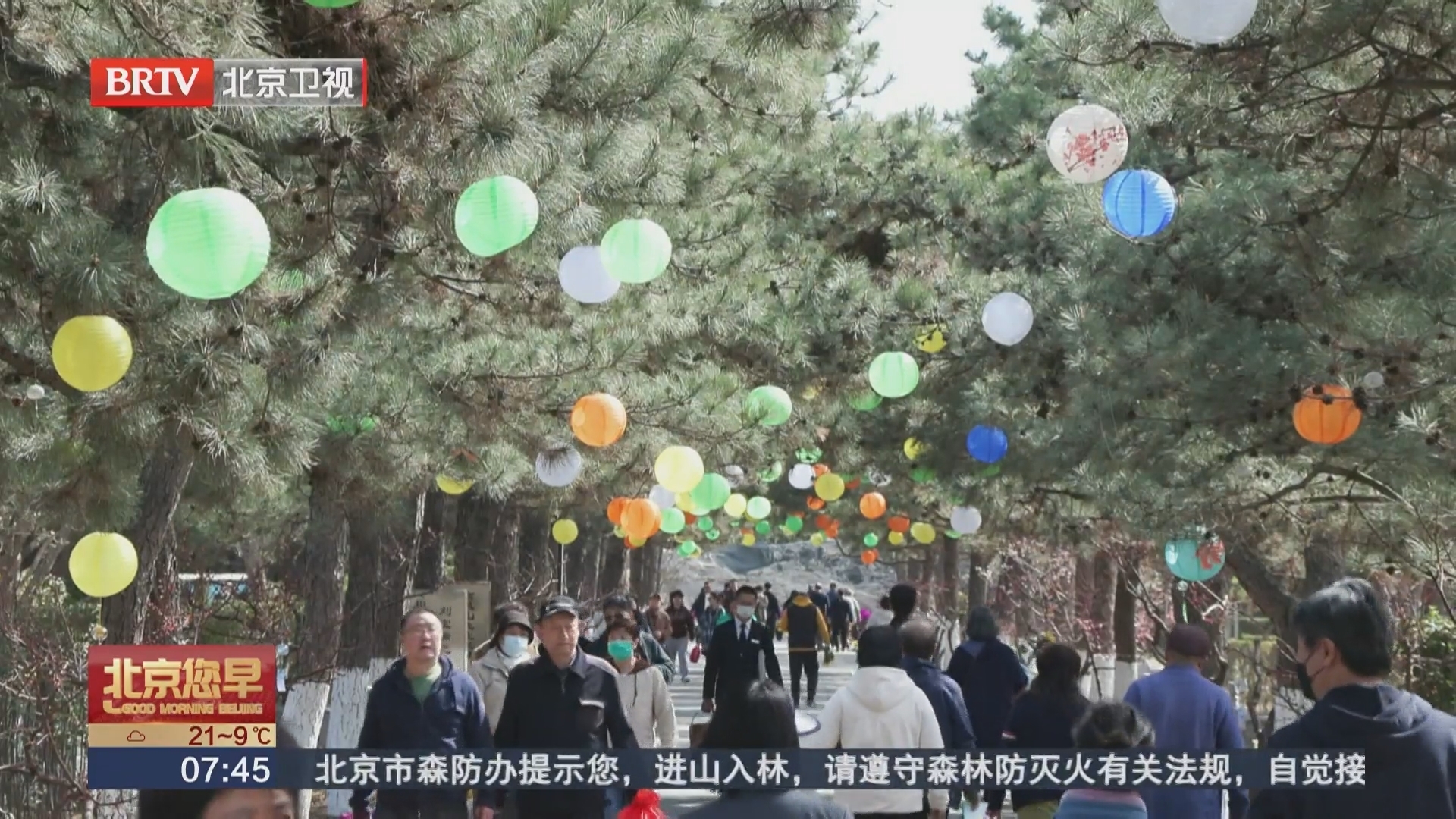 首个祭扫高峰日 市属公墓可手机导航找墓区