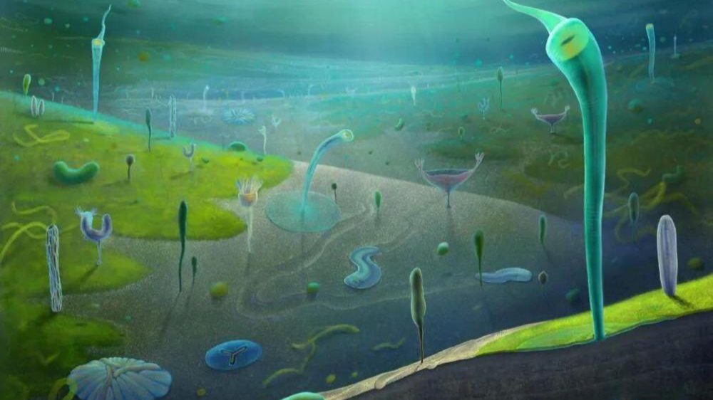 我国学者为破解“达尔文的困惑”提供证据