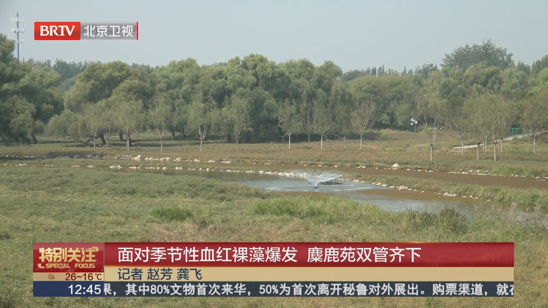 面对季节性血红裸藻爆发 麋鹿苑双管齐下