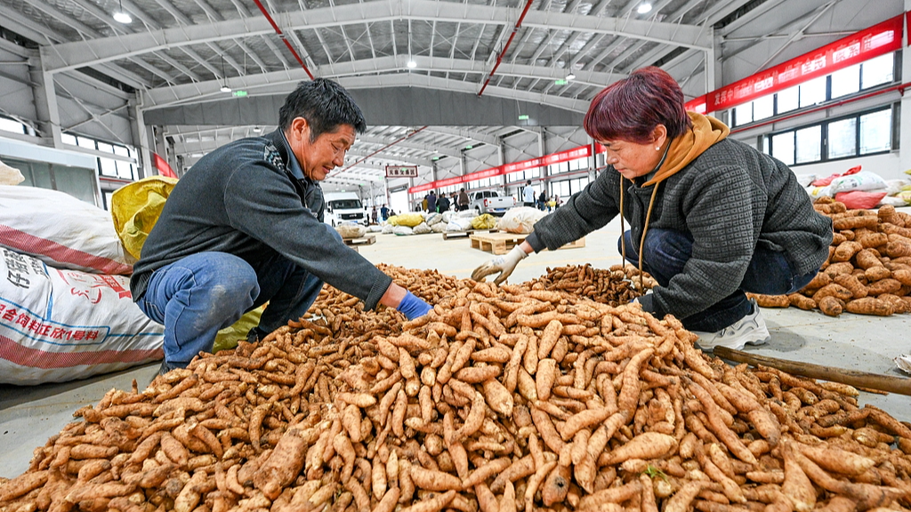 国家药监局:2025年475个中药材生产基地通过检查 国家药监局:2025年475个中药材生产基地通过检查