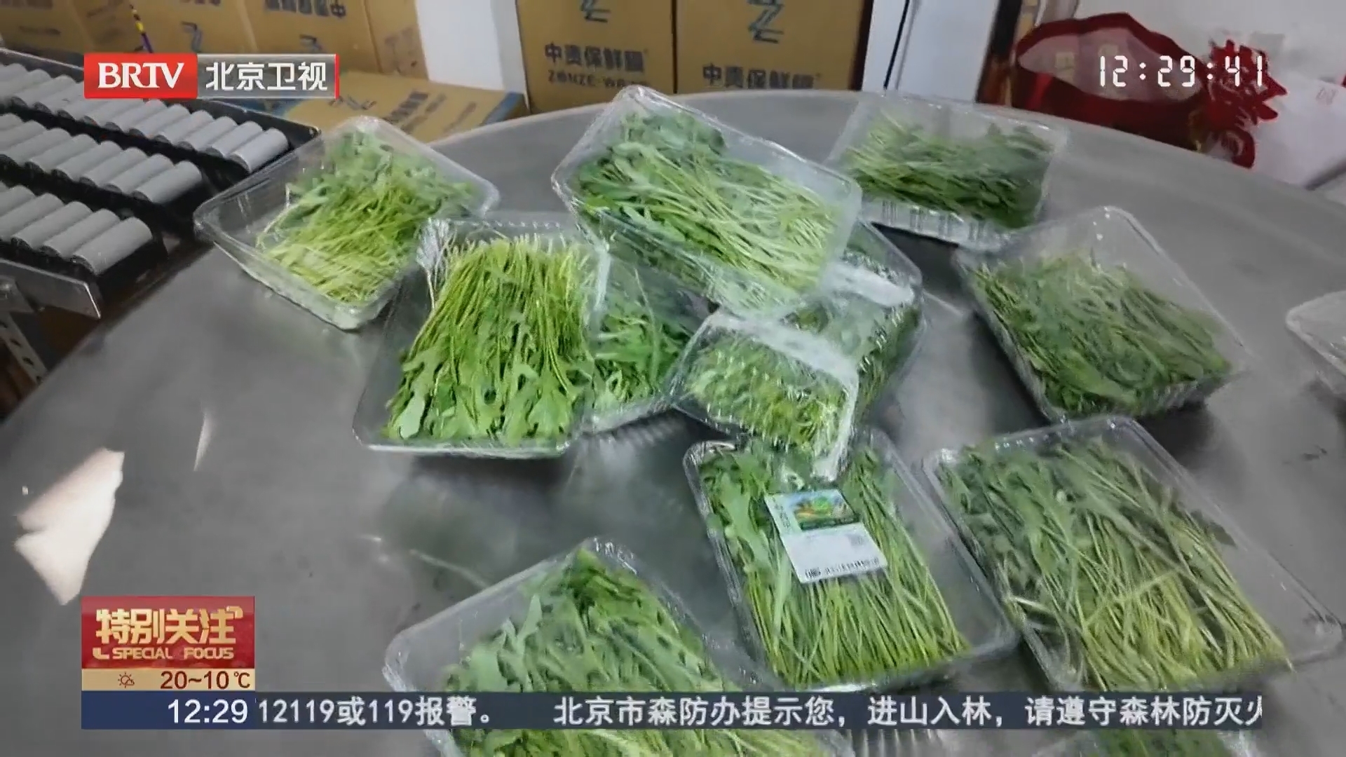 春季的“一口鲜”吃进急诊 野菜采挖需谨慎