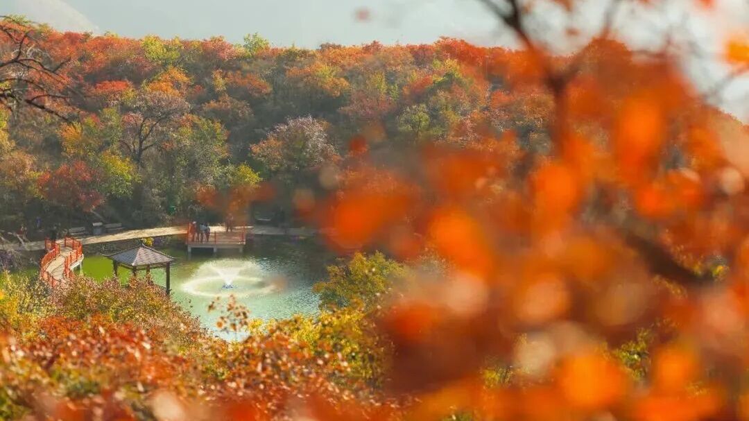 跟着赛事游房山!这些美景尽藏漫山秋意 跟着赛事游房山!这些美景尽藏漫山秋意