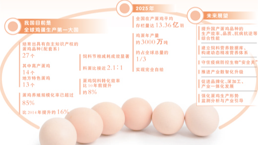 从鸡舍到餐桌,一枚让人放心的鸡蛋要经过几道关? 从鸡舍到餐桌,一枚让人放心的鸡蛋要经过几道关?