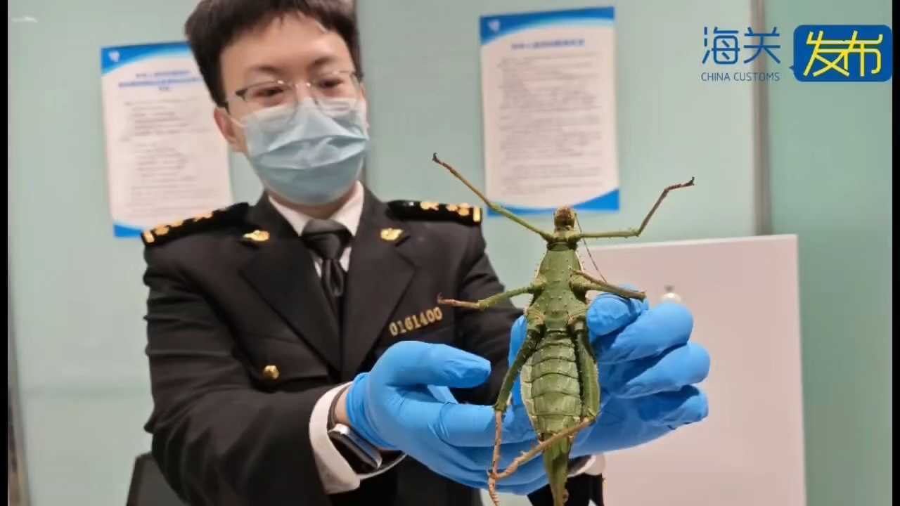 海关查获外来物种36种、218只，其中21种为全国首次截获