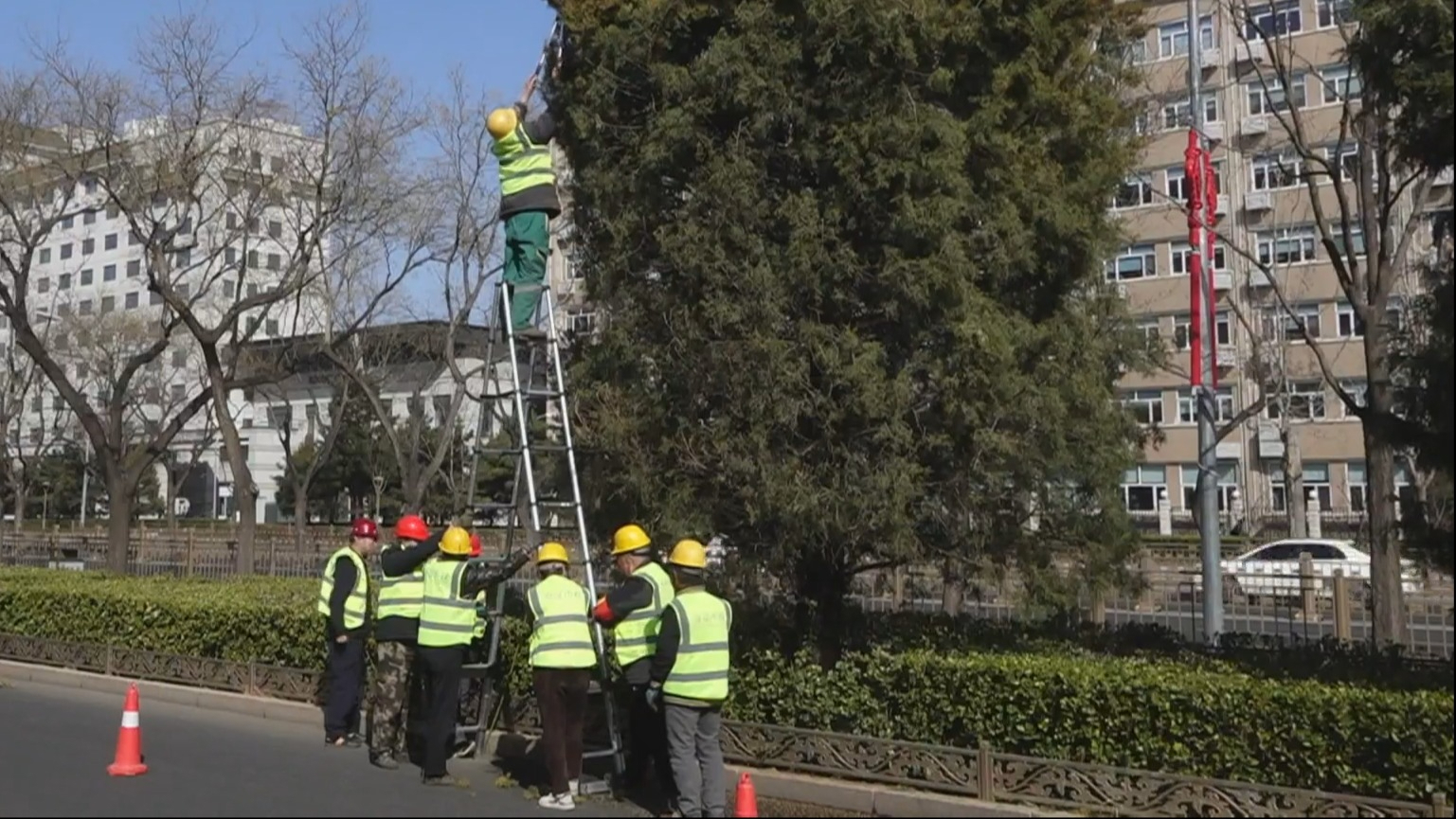 联动治理显成效 花粉治理类群众诉求同比下降百分之三十六点四八