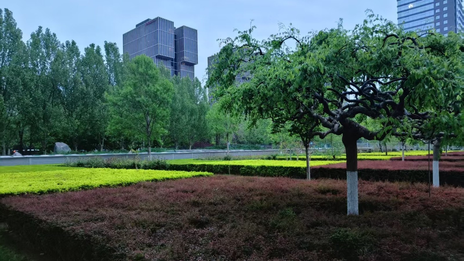 今日有分散性雷阵雨 最高气温30℃
