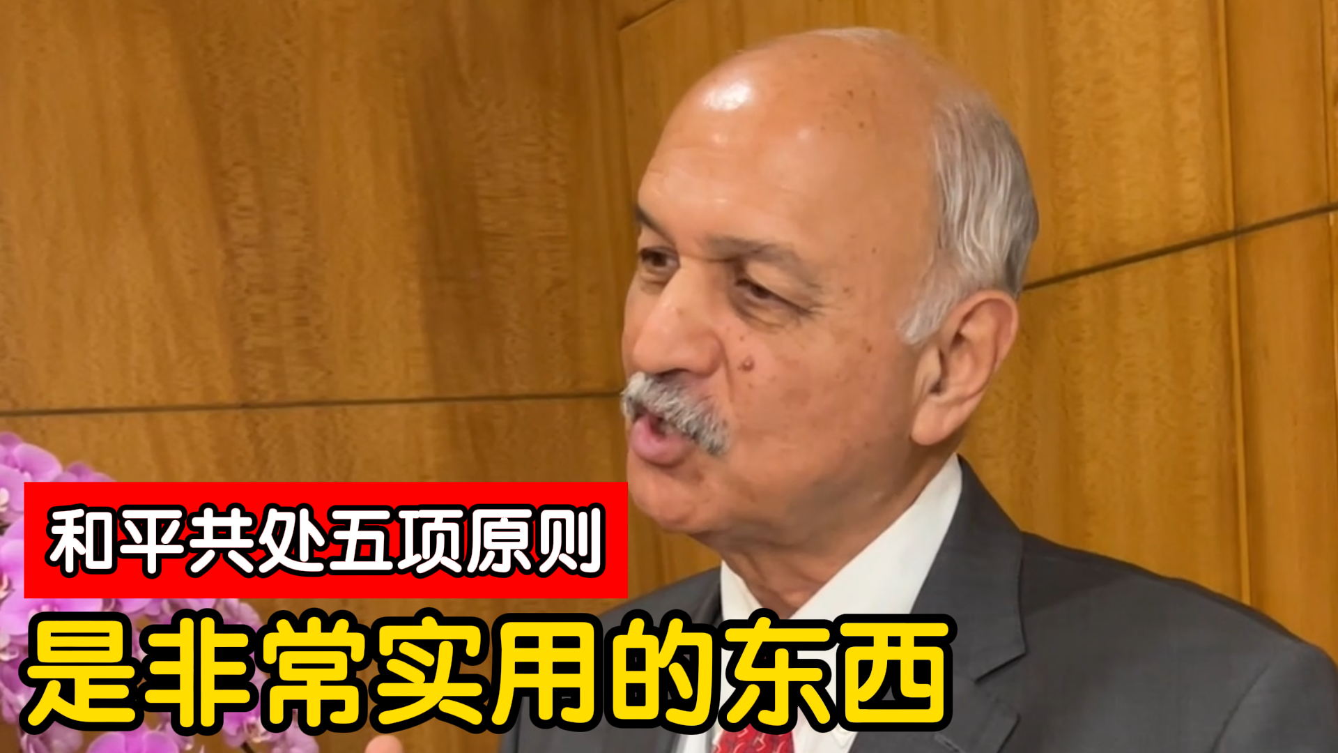 “和平共处五项原则友谊奖”获得者：和平共处五项原则是实用的东西