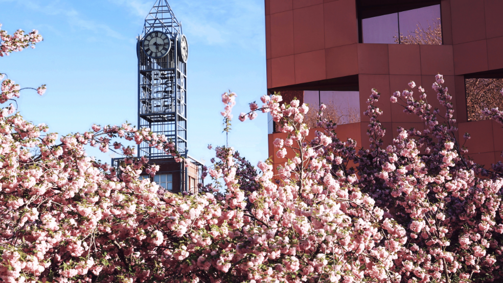“京城最美樱花校园”即将上线!这份赏樱指南请收好—— “京城最美樱花校园”即将上线!这份赏樱指南请收好——