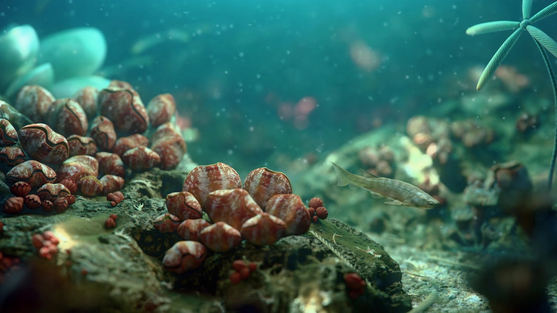 重大发现！4亿年前两块化石中，敲出“剁椒鱼头”