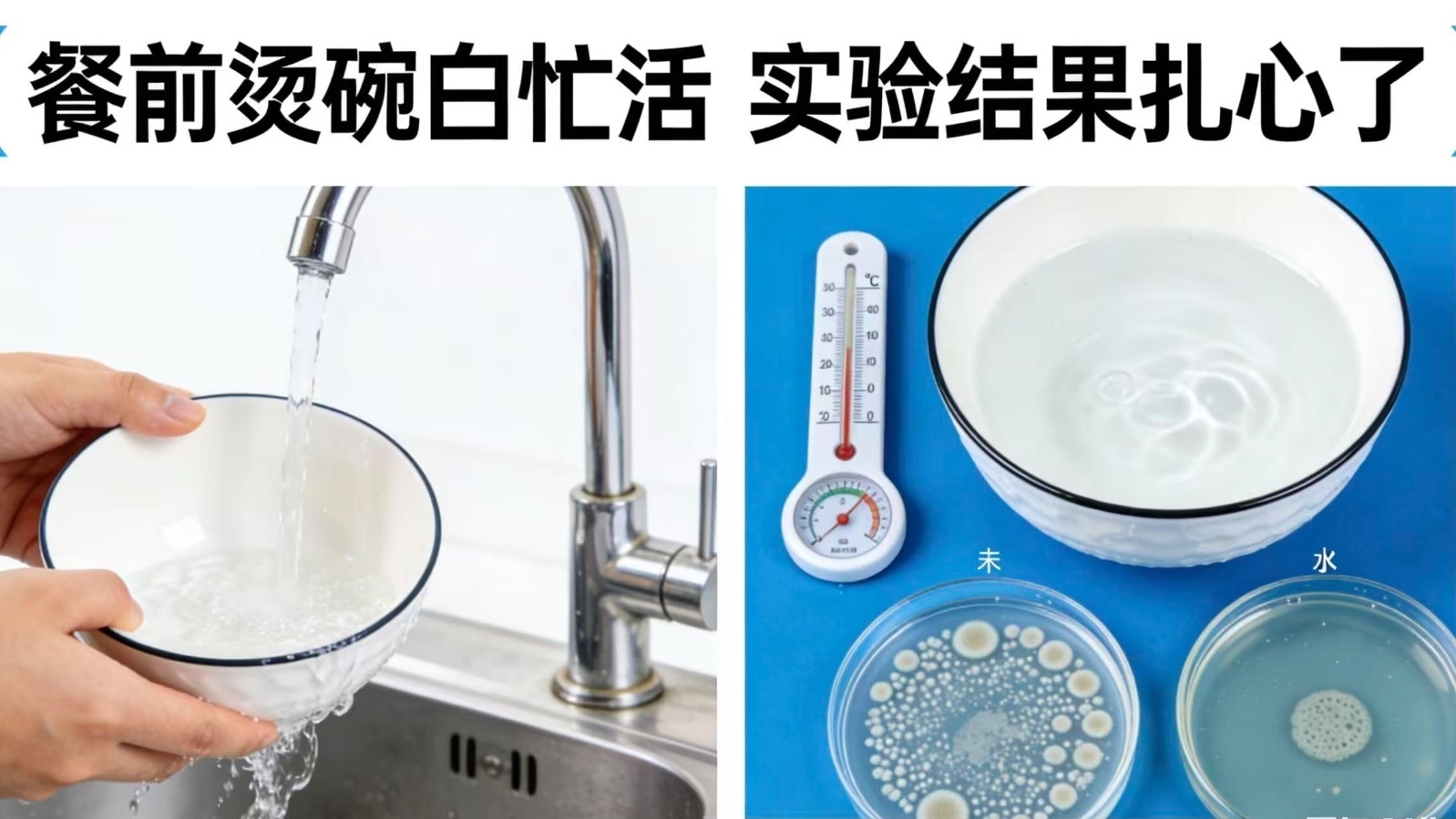 餐前烫碗白忙活？实验结果扎心了！