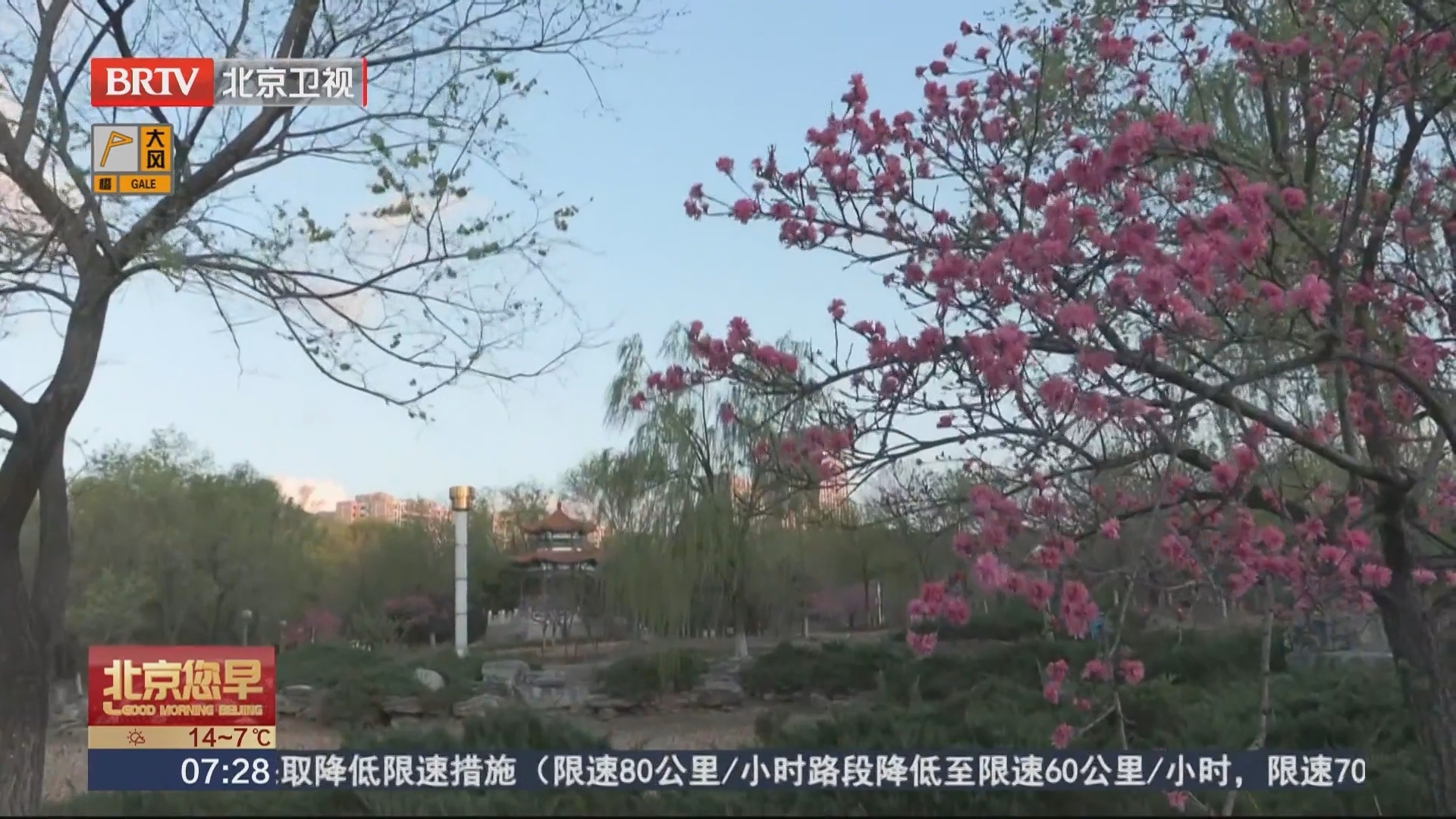 全市最大阵风风速出现在门头沟妙峰山玫瑰园