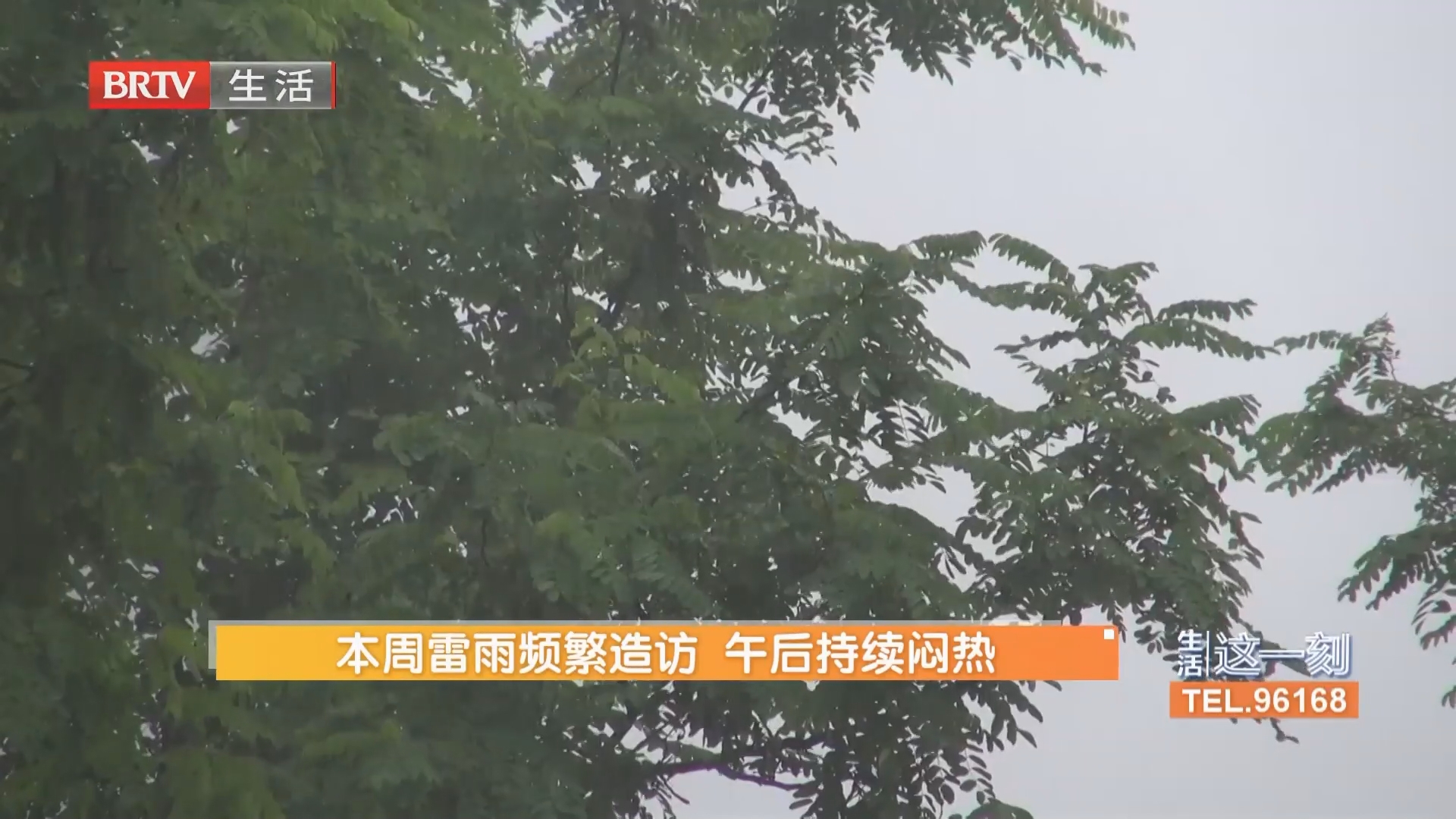 本周雷雨频繁造访 午后持续闷热