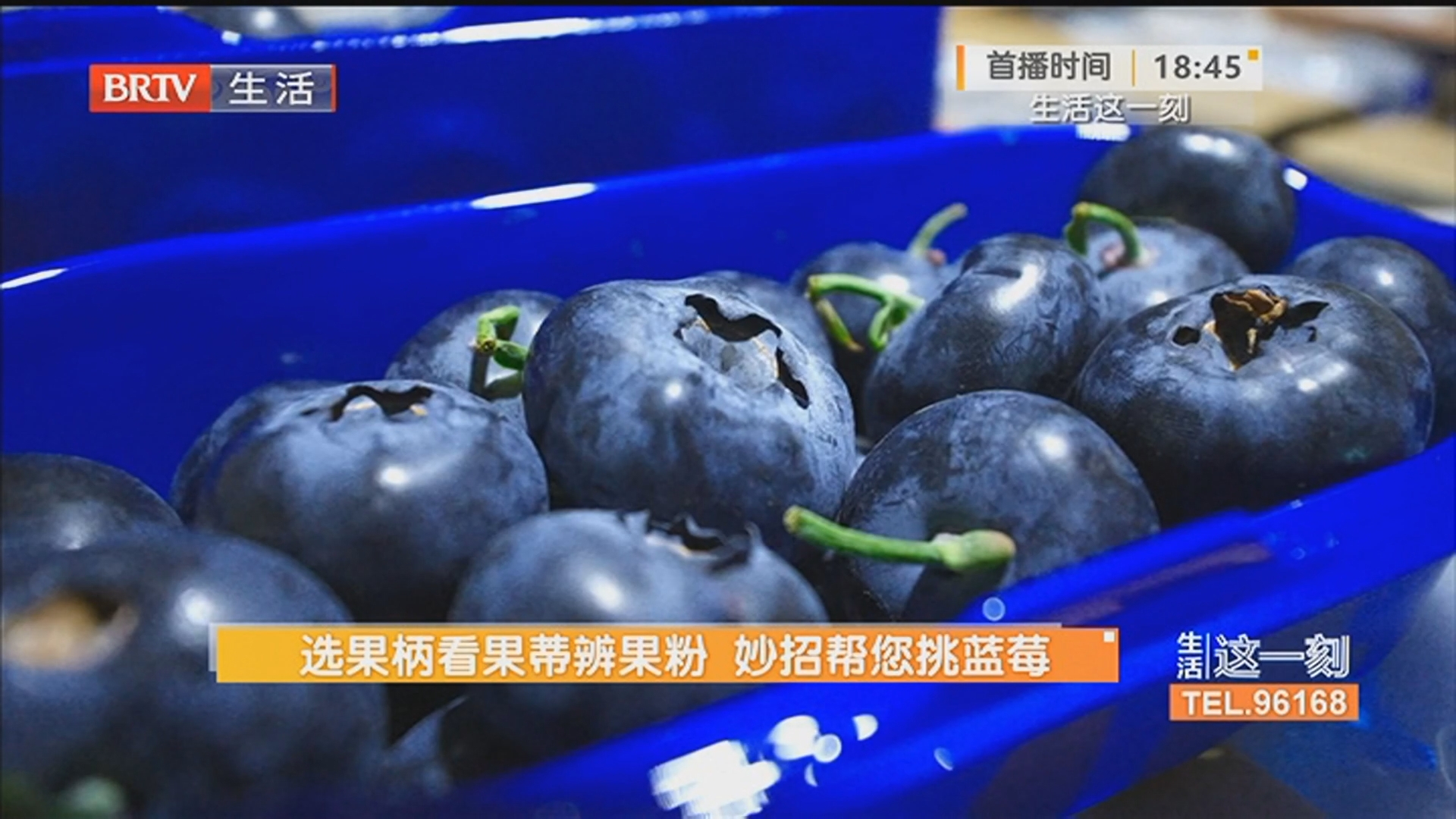 热线答疑：70元与20元的蓝莓有何区别？选果柄看果蒂辨果粉