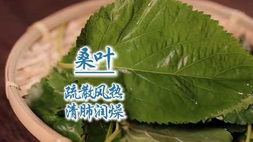 大寒节气，保温杯里的“防寒神器”