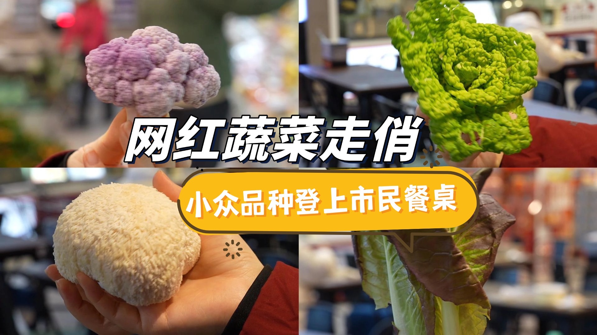 网红蔬菜走俏 小众品种登上市民餐桌