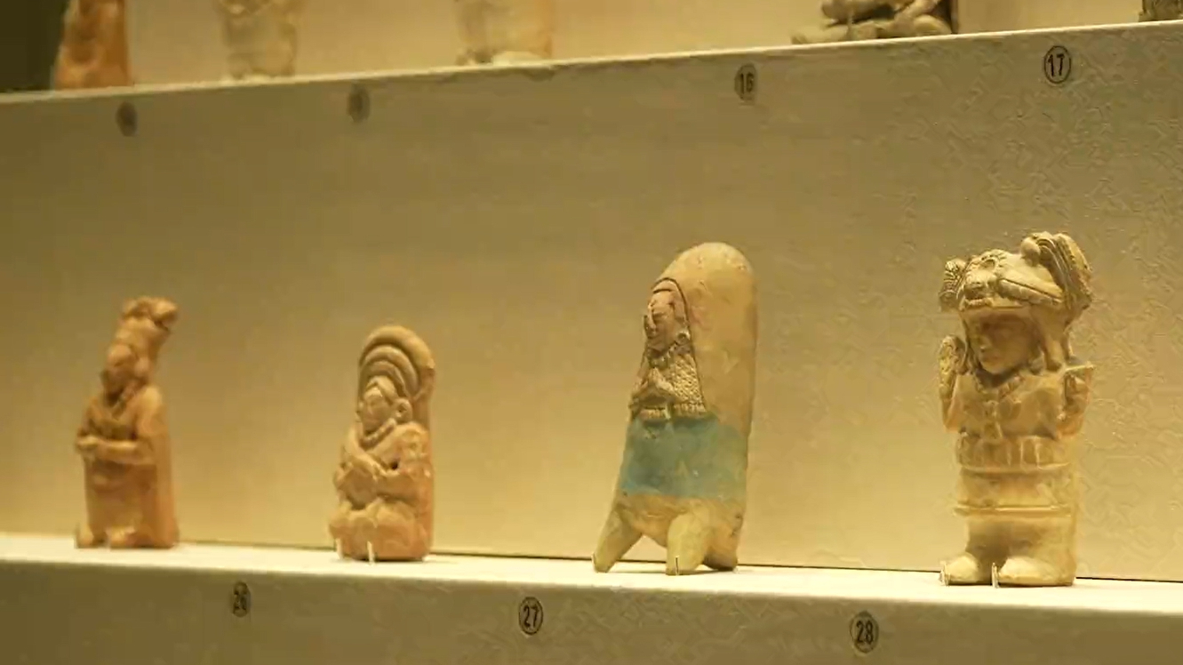 今起开抢！首博最大特展早鸟票6.8折