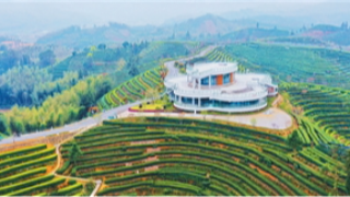 累计交易额超179亿元！好山好水怎么当“钱”用？