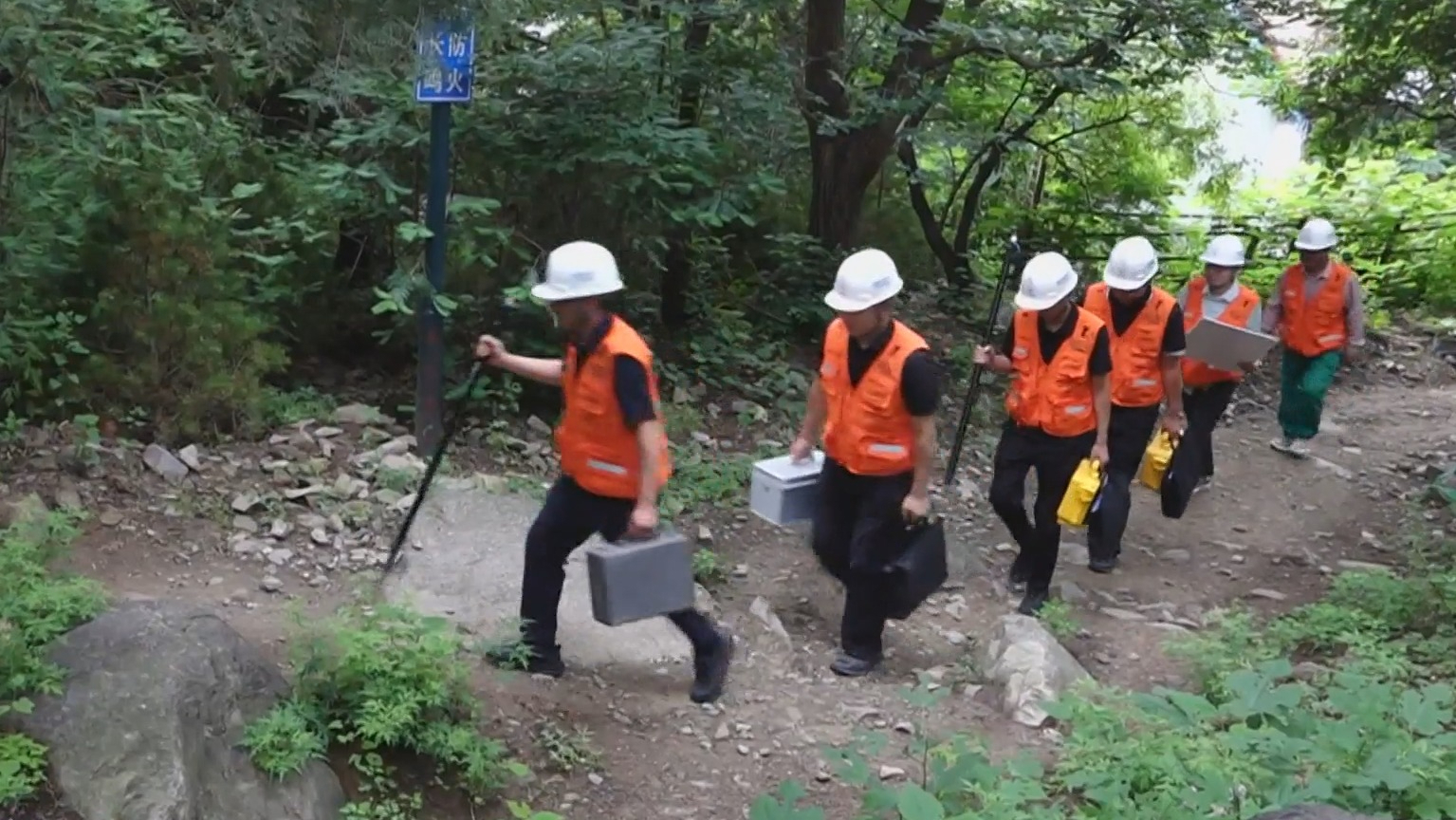 北京启动第三次全国古树名木资源普查