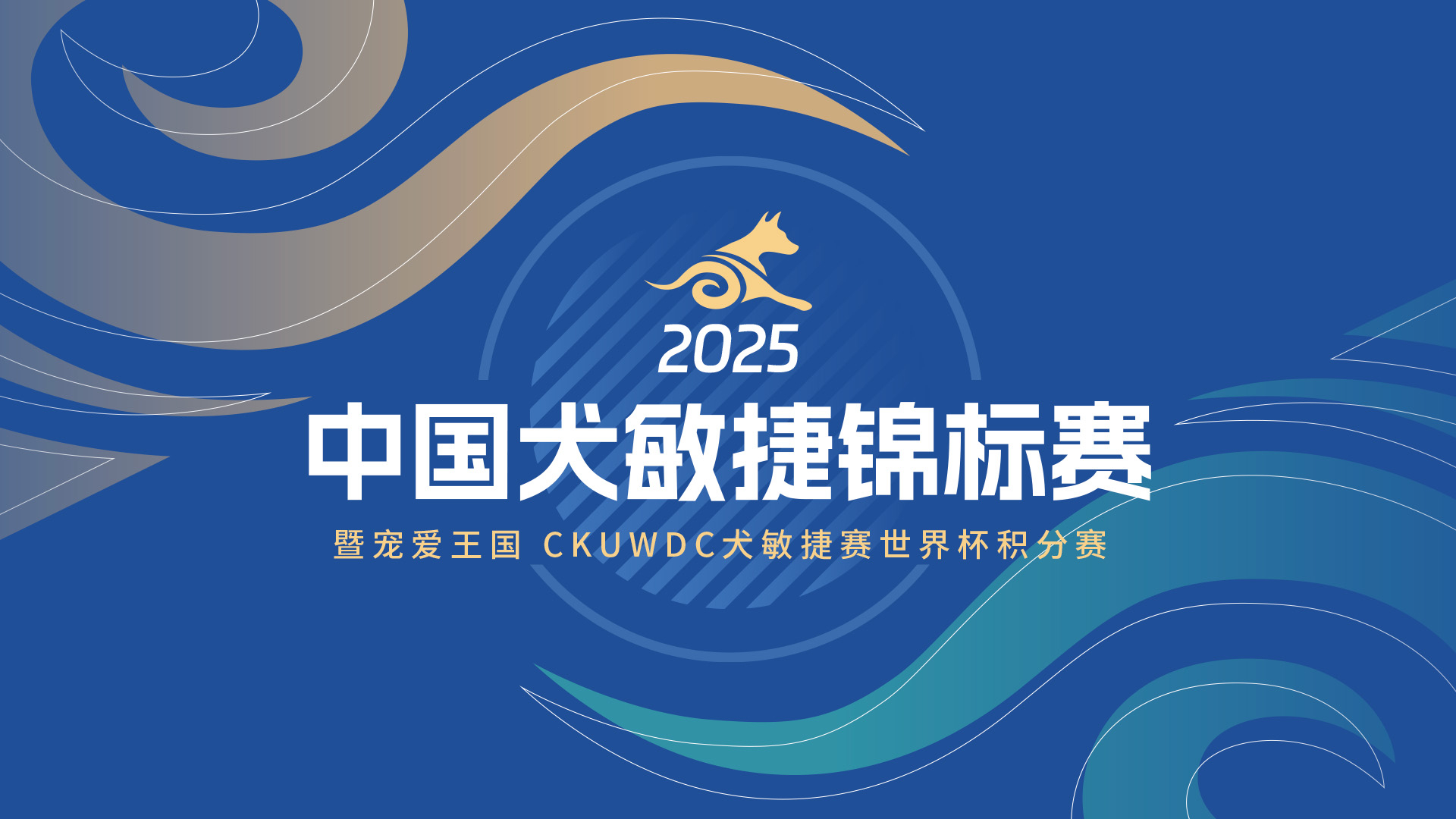 2025年中国犬敏捷锦标赛盛大开幕 2025年中国犬敏捷锦标赛盛大开幕