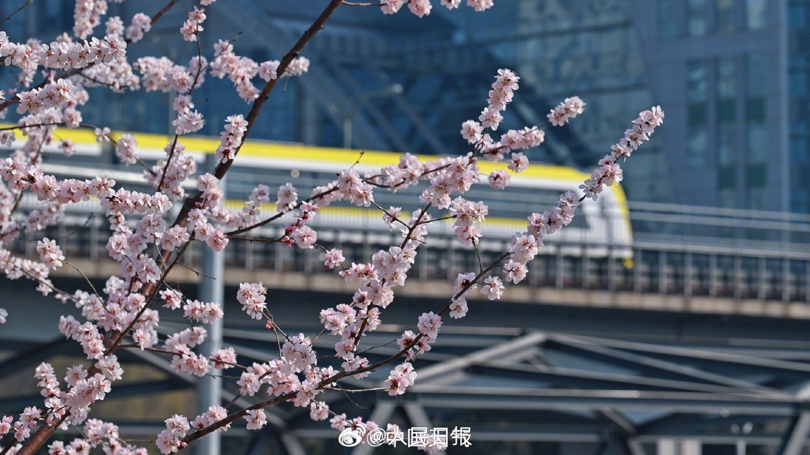 今天白天阵风明显,最高气温15℃,昼夜温差大,注意添衣保暖 今天白天阵风明显,最高气温15℃,昼夜温差大,注意添衣保暖