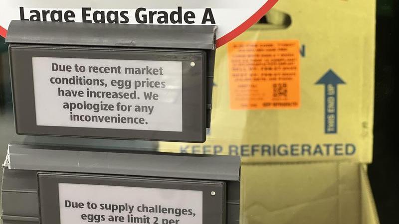 “蛋荒”持续 美国指望土耳其多“供蛋” “蛋荒”持续 美国指望土耳其多“供蛋”