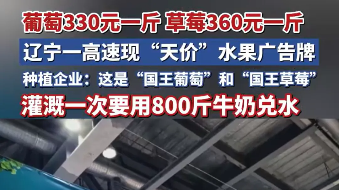 葡萄330元/斤，草莓360元/斤！辽宁种植企业回应