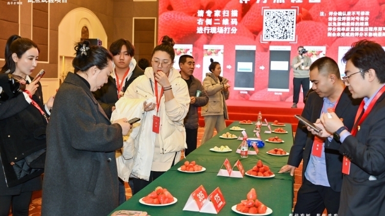 20余家企业牵手昌平区合作社，助力昌平草莓走上百姓餐桌