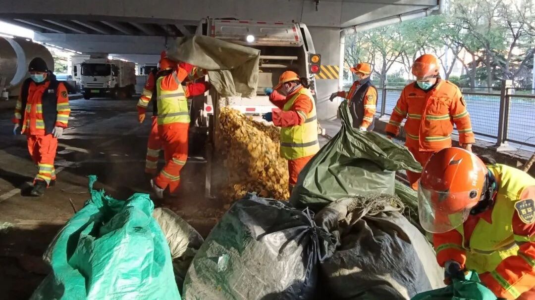 落叶是秋天的诗，他们是无名的城市美容师~