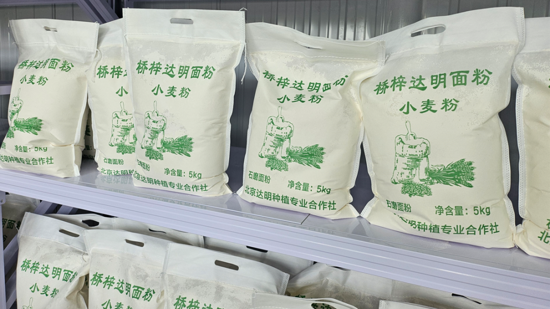 全市首家!桥梓镇一家面粉加工企业通过国家绿色食品认证 全市首家!桥梓镇一家面粉加工企业通过国家绿色食品认证