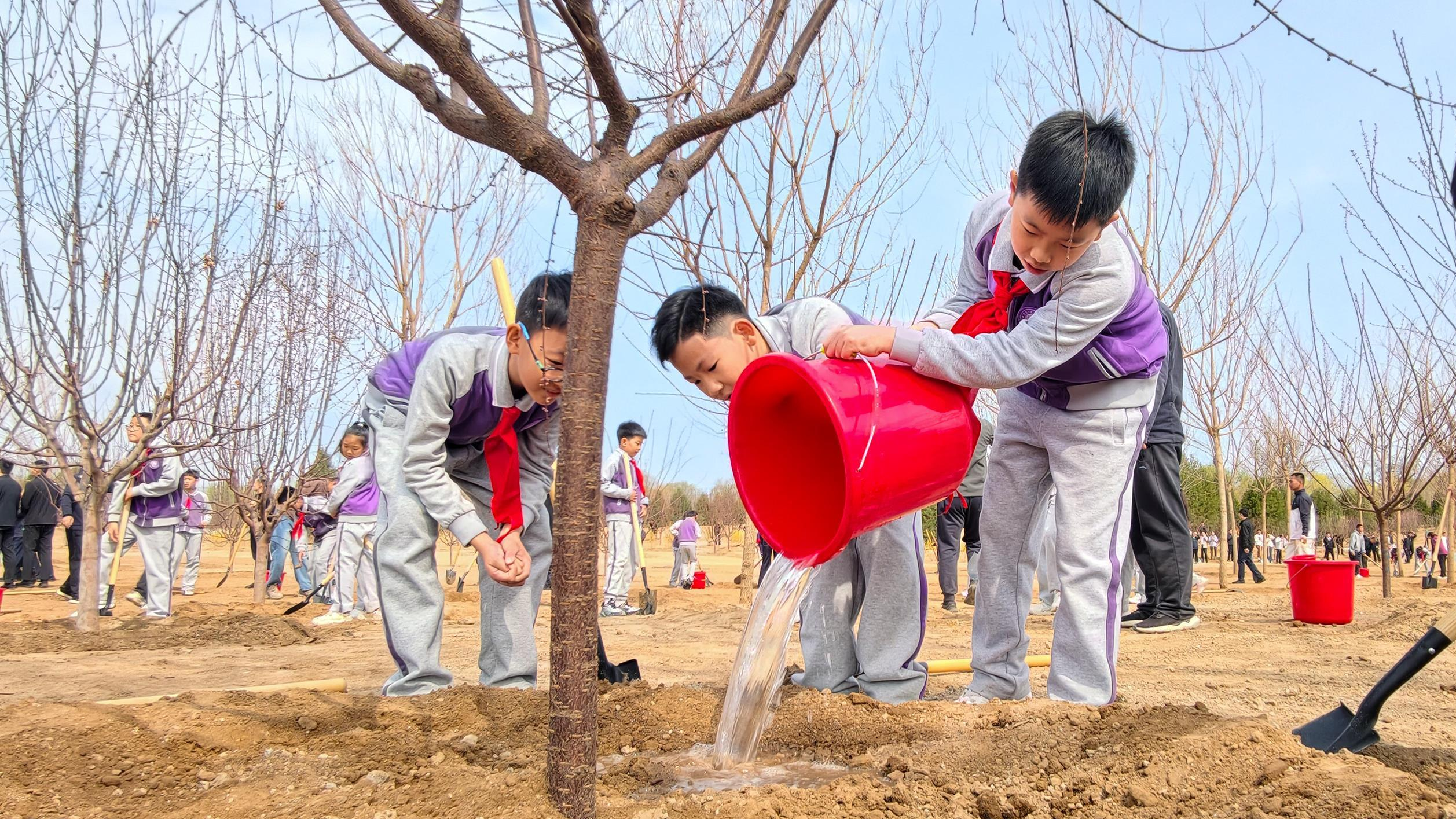 时政新闻眼丨在首都义务植树活动现场，习近平强调这件利国利民的大事