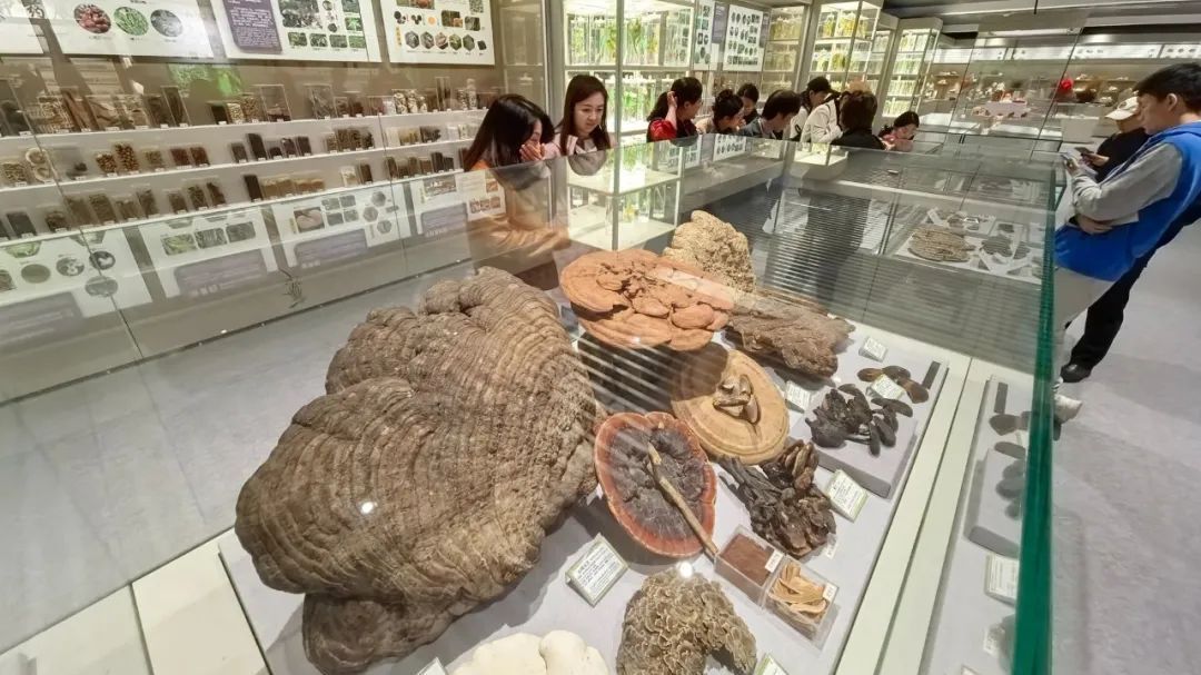 北京好逛博物馆+1！展品罕见，还免费