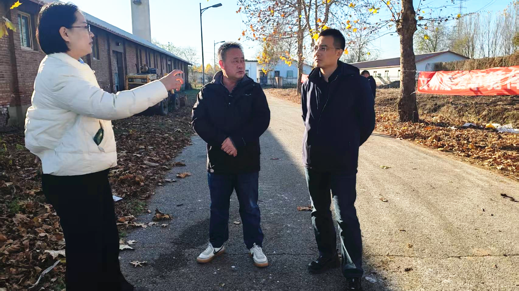 锚定畜牧业高质量发展！北京市昌平区肉牛品种性能测定站建设项目开工