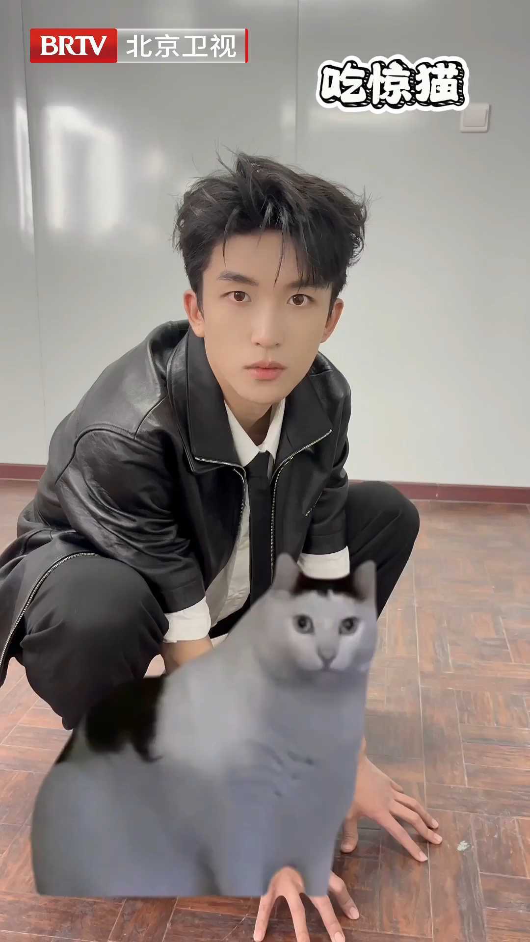 黄子弘凡模仿猫猫一猫一样