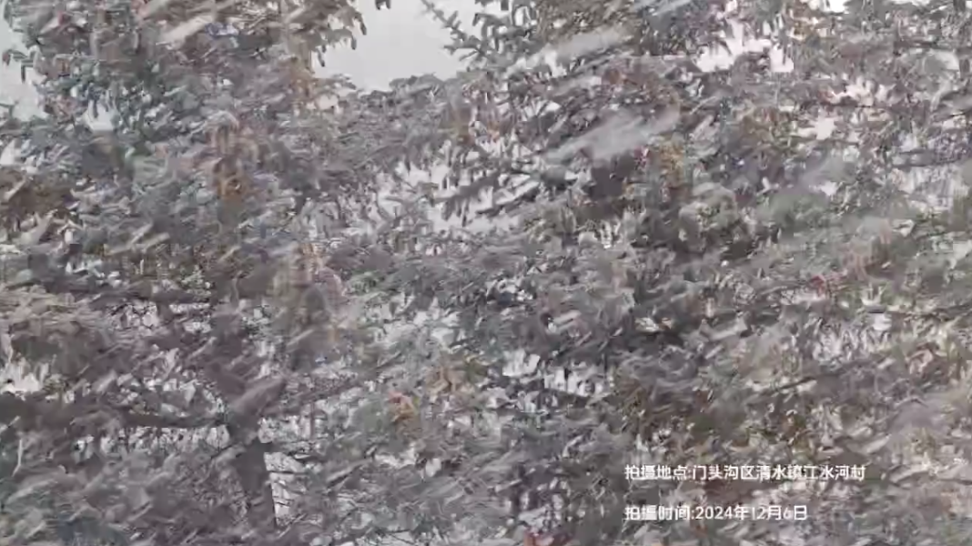 今日大雪，北京真的下雪了！