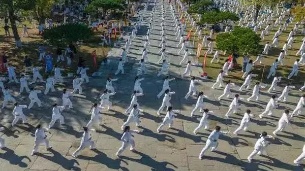 武当太极:跨越六百年的天下传奇 武当太极:跨越六百年的天下传奇