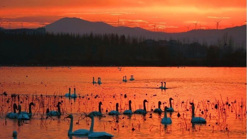 从城市到乡村,美丽中国建设实施体系不断完善 从城市到乡村,美丽中国建设实施体系不断完善