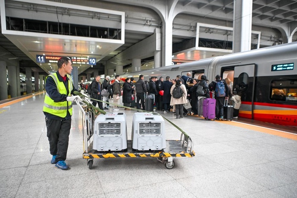 长途“有票”，短途却“无票”？铁路12306回应售票策略