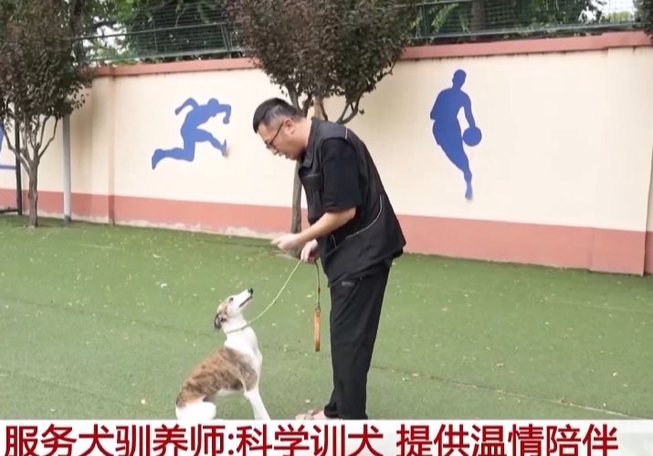 新消费催生新职业 专业服务装点美好生活 新消费催生新职业 专业服务装点美好生活